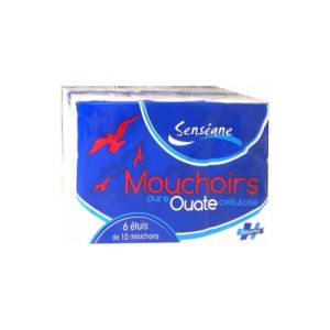 Evolupharm Mouch Senseane Pocket Nat 6X10