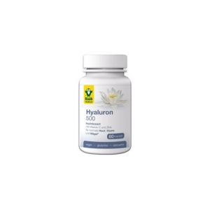 Raab Vitalfood Hyaluron 500mg 60 Gélules