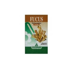 Fucus aux herbes 150Tav