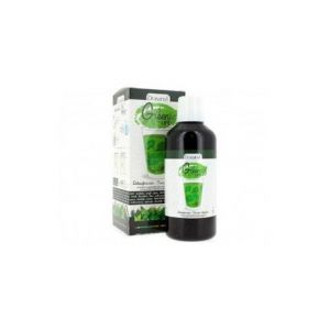 Bebida Green Life Drasanvi 500ml *