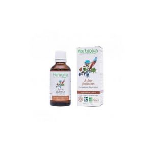 Herbiolys Bourg Aulne Bio 50ml