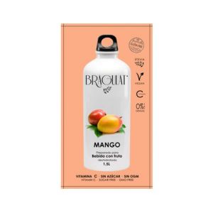Boisson soluble Bragulat Mangue 9gx15uds