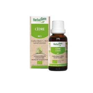 Herbalgem C&egrave;dre Bio 30ml