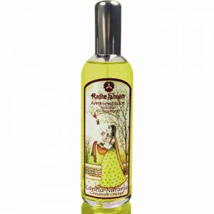 Radhe Shyam D&eacute;sodorisant Cannelle Orange 100ml
