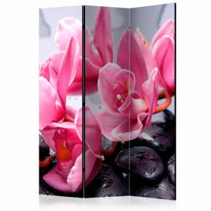 Paravent design Orchid flowers with zen stones [Room Dividers]