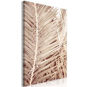 Tableau décoratif Palmier desséché - des feuilles de palmier sur fond blanc