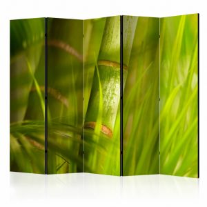 Paravent Bamboo - nature zen II [Room Dividers]