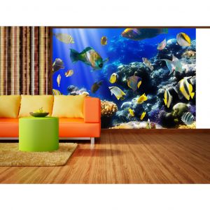 Papier peint adhésif Poissons: Underwater adventure
