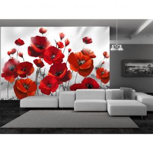 Papier peint adhésif Coquelicots: Coquelicots dans au clair de lune