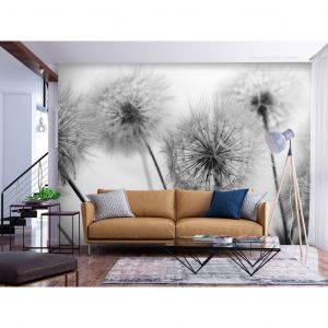 Papier peint adhésif Pissenlits: Pissenlits - un motif de nature éphémère en noir et blanc pour le salon