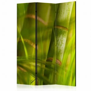 Paravent design Bamboo - nature zen [Room Dividers]