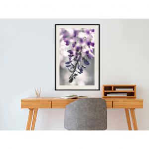 Poster mural Violet Ringtones [Poster]