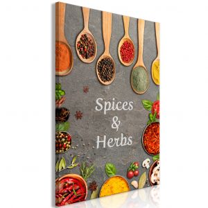 Tableau design Kitchen Composition - Herbs and Spices on a Gray Stone Background