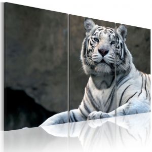 Tableau sur toile Tigre blanc