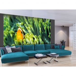 Papier peint adh&eacute;sif Poissons: Nature marine - poisson-clown de Nemo parmi un r&eacute;cif corallien vert