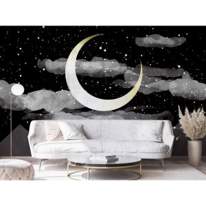 Papier peint adhésif Paysages : Ciel nocturne - paysage avec lune, étoiles, nuages ??et montagnes