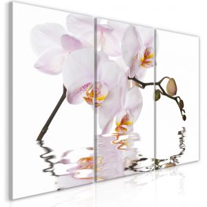 Tableau tendance Orchidée rose - un triptyque avec une fleur d'orchidée sur fond blanc