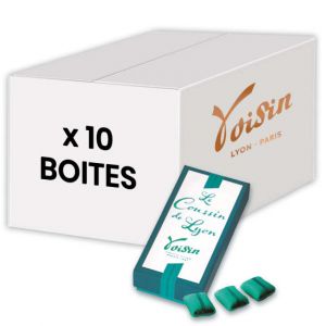 Chocolat Voisin Sp&eacute;cialit&eacute;s de Lyon Le Coussin - 10 boites - 450 gr