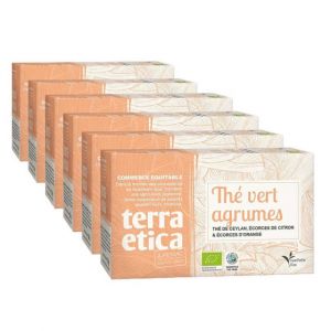 Th&eacute; Vert Bio Terra &Eacute;tica Agrumes Sri Lanka - 6 boites - 120 sachets