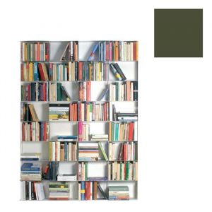 KRIPTONITE biblioth&egrave;que murale KROSSING 133 x H 200 cm (Vert mat RAL 6003 - M&eacute;tal)