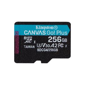 Canvas Go! Plus microSDXC 256 Go, Carte mémoire
