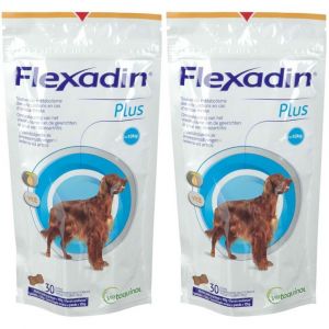 Flexadin® Plus chiens moyens et grands chiens (> 10 kg)