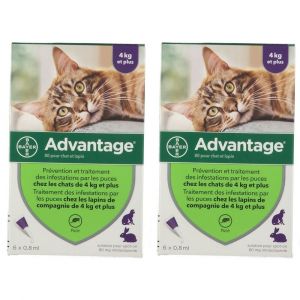 Advantage 80 pour chat et lapin