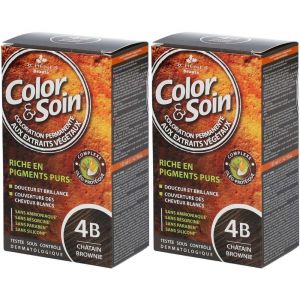 Les 3 Ch&ecirc;nes&reg; Color & Soin&reg; 4B chatain brownie