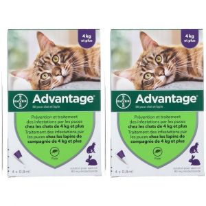 Advantage 80 pour chat et lapin