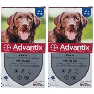 Advantix Grand chien de 25 kg - 40 kg