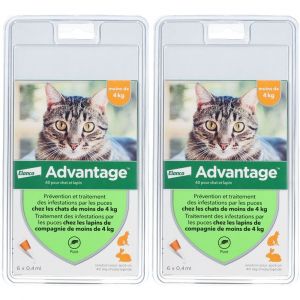 Advantage 40 pour chat et lapin