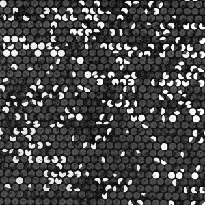 Tissu velours effet sequins noir et argent - Mondial Tissus