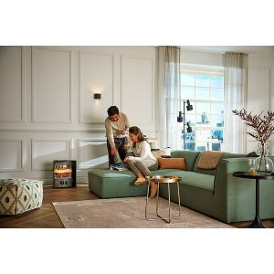 Po&ecirc;le &agrave; m&egrave;che - 2,7kW