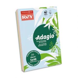 Papier couleur Adagio - A4 - 80 g - ramette de 200 feuilles : 40 feuillles x 5 coloris assortis pastels et vifs