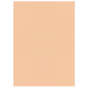 Chemises dossiers 220g recycl&eacute;es - 24 x 32 cm - bulle - lot de 100