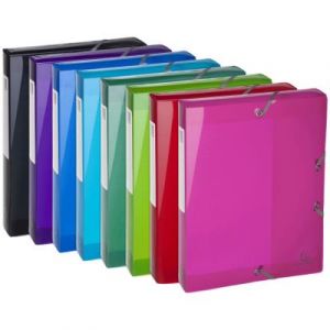 Bo&icirc;te de rangement Exacompta A4&nbsp;en polypropyl&egrave;ne 400&nbsp;feuille - 250&nbsp;x&nbsp;330&nbsp;mm - Coloris assortis - Lot de 8