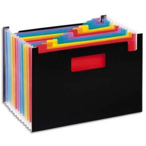Trieur Seatcase Rainbow Viquel - 13 compartiments - polypropyl&egrave;ne 7/10e - noir int&eacute;rieur multicolore