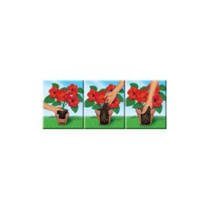 COMPO SANA Terreau de rempotage de qualit&eacute; pour fleurs, 20 l