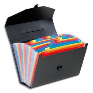 Valisette trieur en plastique Viquel Rainbow 24 compartiments - exterieur noir int&eacute;rieur multicolore