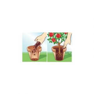 COMPO BIO Terreau universel sans tourbe, 7,5 litres