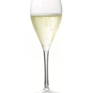 Fl&ucirc;te &agrave; champagne r&eacute;utilisable en plastique 17 cl - Lot de 12