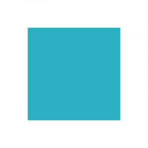 Papier couleur Lana Colours 1, 50 x 65 cm (Raisin) - 1 feuille - 160 g/m&sup2;, Menthe