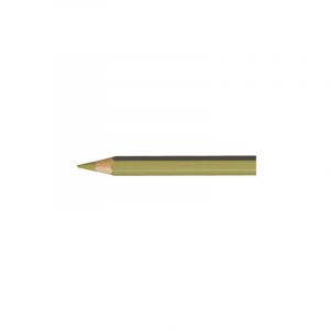 Crayons de couleur Caran D'Ache Pablo, Brun olive