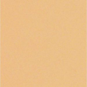 Papier couleur Lana Colours 1, 50 x 65 cm (Raisin) - 1 feuille - 160 g/m², Huître