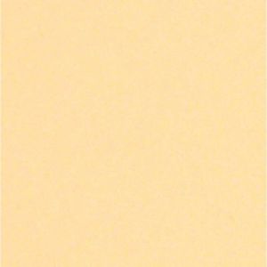 Papier couleur Lana Colours 1, 50 x 65 cm (Raisin) - 1 feuille - 160 g/m², Crème