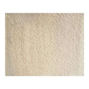 Peinture aquarelle Isaro, 1/2 godet, Titanium beige - PW6:1