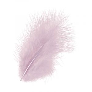 Plumes Marabout, 15 pces, Rose