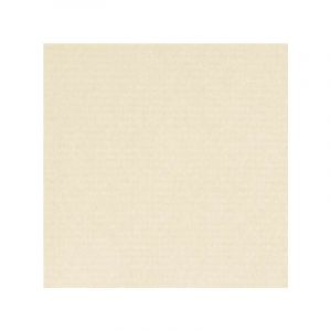 Papier Durer ingres à bords franges Hahnemühle, 48 x 62,5 cm - 100 g/m², Ivoire