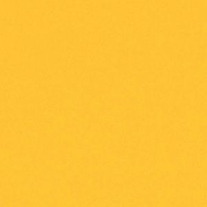 Papier couleur Lana Colours 1, 50 x 65 cm (Raisin) - 1 feuille - 160 g/m&sup2;, Canari