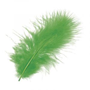 Plumes Marabout, 15 pces, Vert